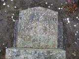 image of grave number 810005